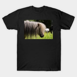 Pony T-Shirt